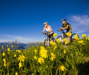 Wildflower abound during the Vail Summer and there are plenty of fun ways to view them -- biking, hiking horseback riding or even a ride on the gondola.